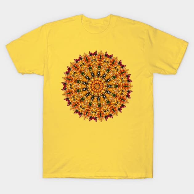 Tulip Sunburst T-Shirt by PhotosbyHealy